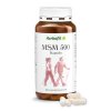 MSM-500 capsules