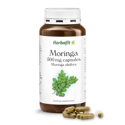 Moringa capsules 500 mg - Moringa oleifera