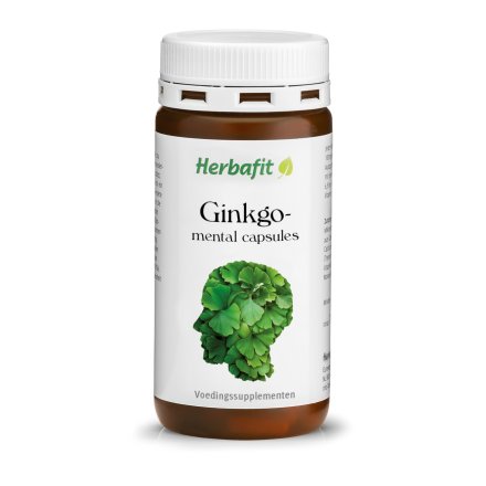 Ginkgo mental capsules